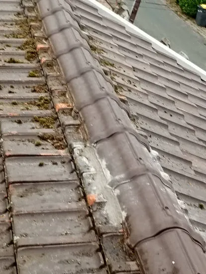 Toiture en tuiles béton avec mousse avant nettoyage professionnel — Top Renov Toiture Essonne